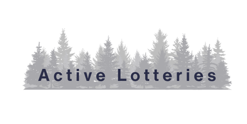 Active Lottery (4)