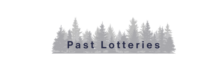 Active Lottery (5)